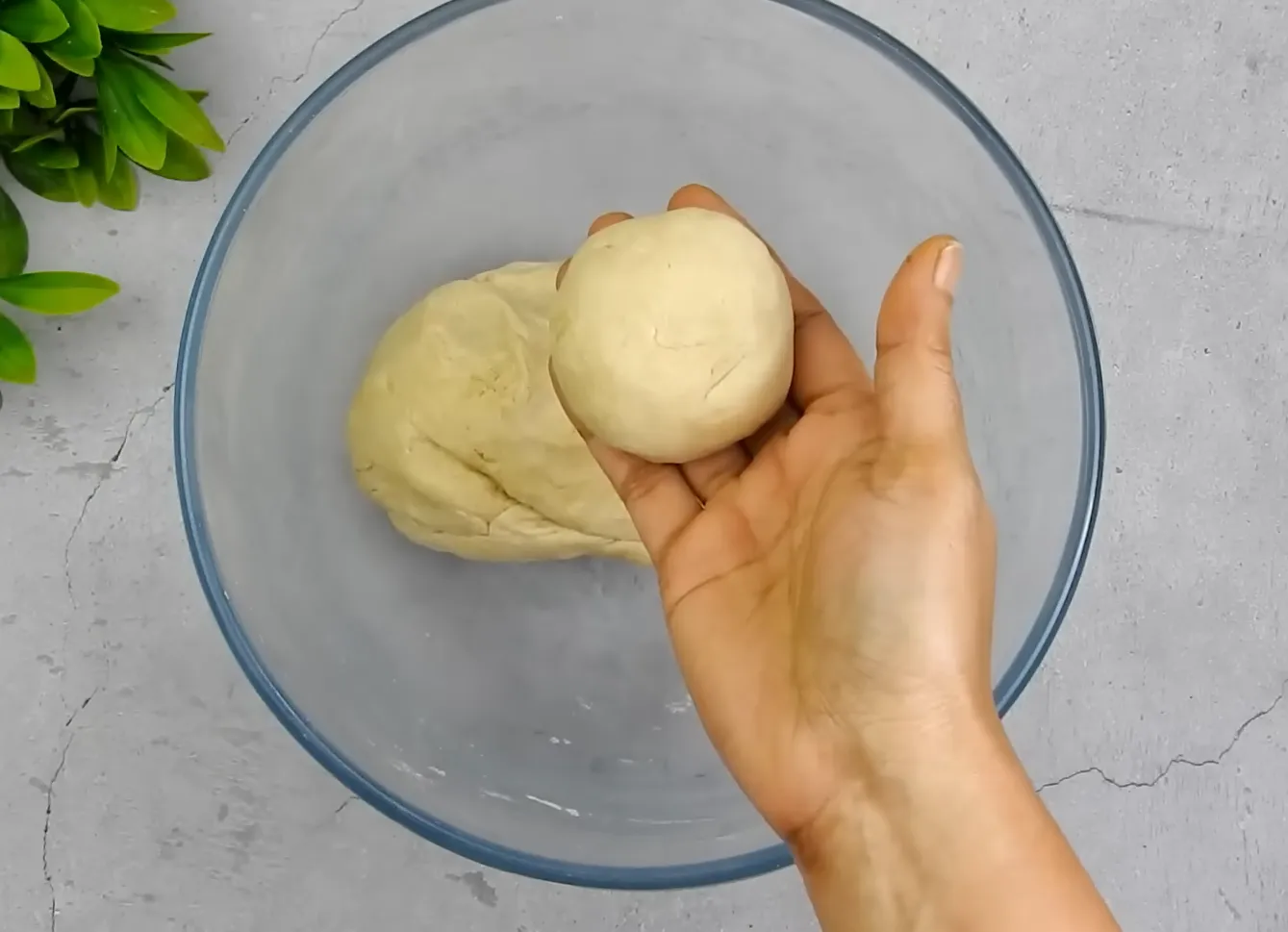Equal-sized smooth wheat dough balls placed on a board